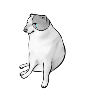 貰ったの 