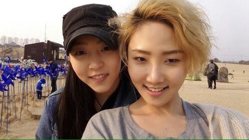 hwabyul - hwasa & moonbyul