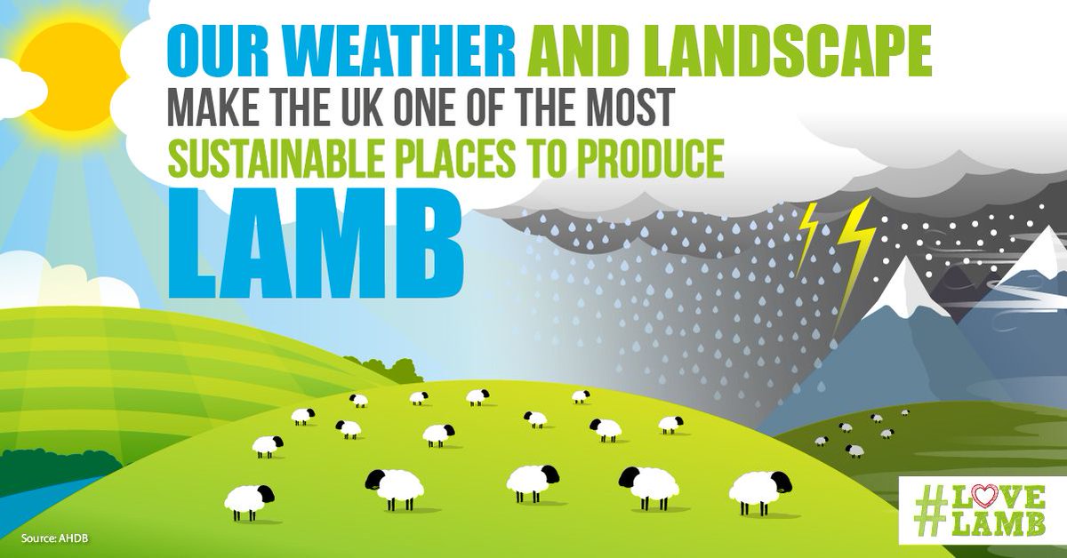 RSABI's tweet image. It’s #LoveLambWeek! What better time to celebrate our
amazing Scotch Lamb, which takes its quality and
characteristics from a natural life grazing on the plentiful
grass we have here in Scotland.
Find out more: bit.ly/2BVJjCS
@qmscotland @ScotchKitchen #MakeitScotch