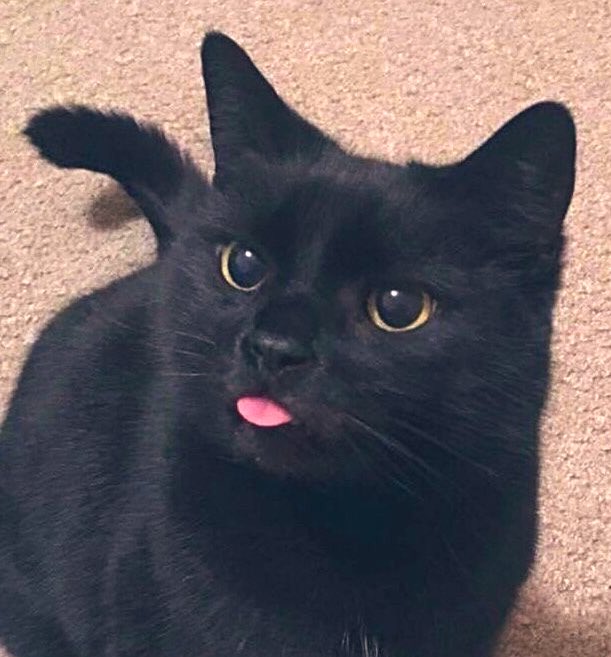 Blep 