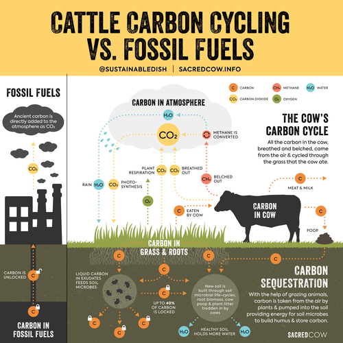 Since GWP is a CO2e, it can only be positive, always indicating a warming effect. If you recall, CO2 is a LLCP. Therefore, it builds in the atmosphere, contributing new/additional warming for an indefinite period of time. It's not constantly being destroyed, like CH4 (SLCP). 16/