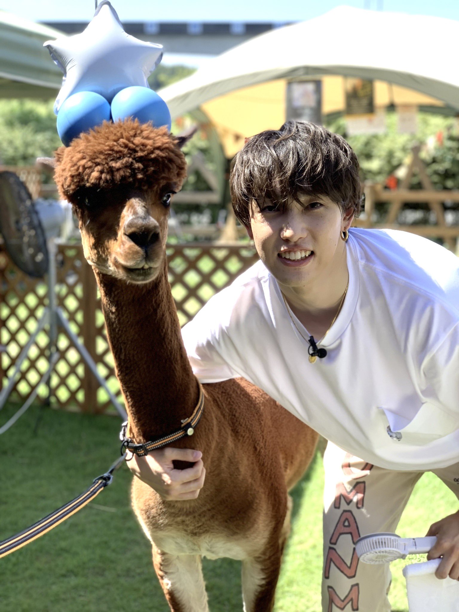 ホリナツのカンムリ（仮）【公式】 | 📣 #FANTASTICS #堀夏喜
