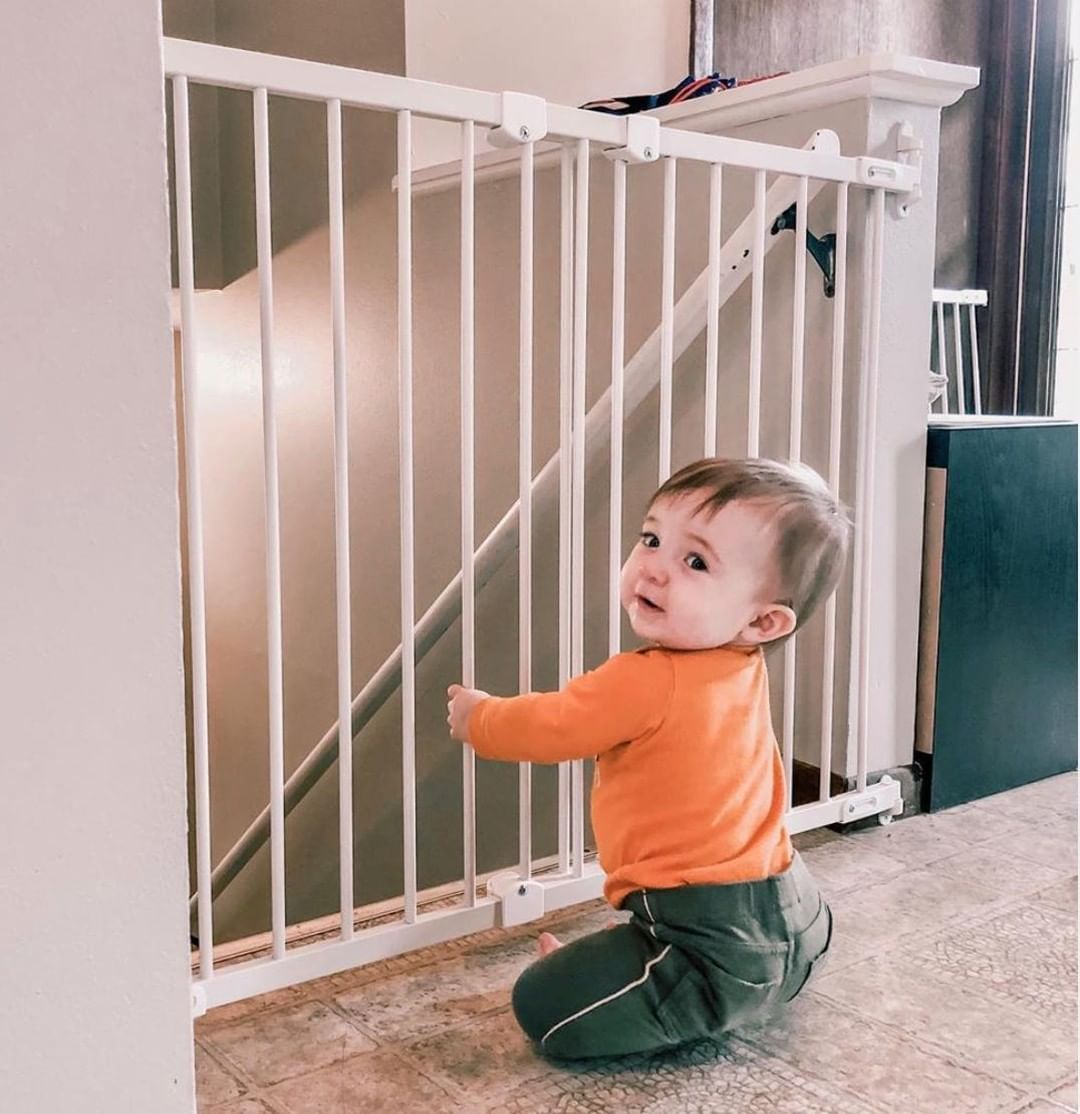 DearBornBaby tweet media