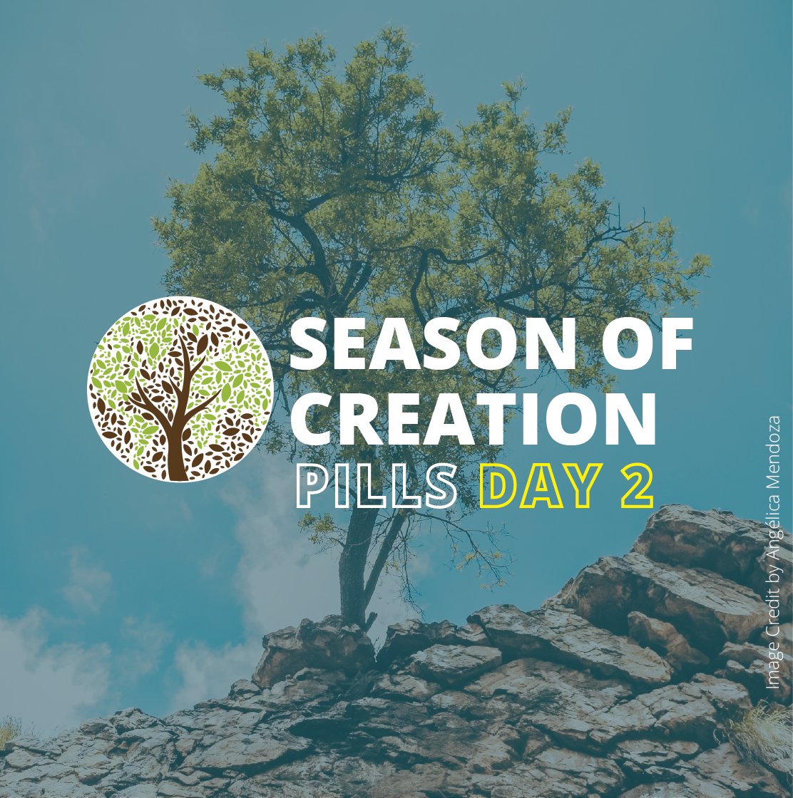 LaudatoSiMvmt's tweet photo. #SeasonOfCreation: September 2nd I On this day we will talk about a call that we all must respond to: "Announcing the Kingdom of God to the whole world". ▶️ Watch the video and share it with your friends. https://t.co/BATnpOtO6s https://t.co/fyhSfMSE0i