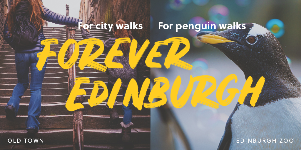 Unique Venues of Edinburgh tweet media