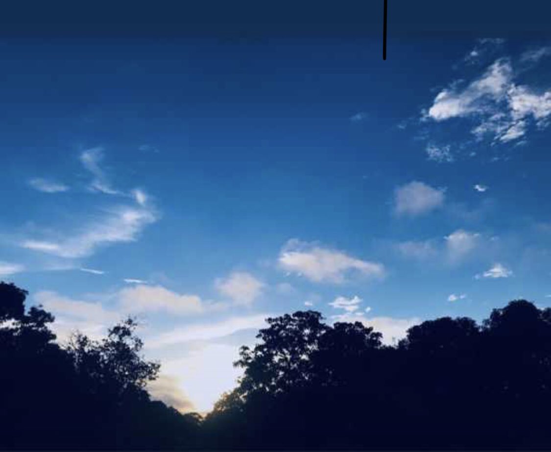 adama32316814's tweet image. 