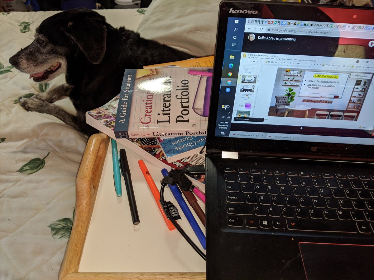 #CiaraTheTeacherDog is at it again, learning all about writing portfolios! #bringyourdogtoschool #goodtogreat