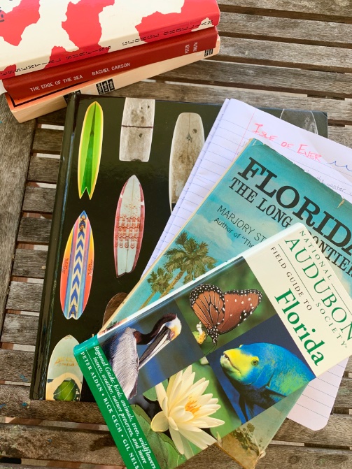 Jess__Red's tweet photo. Working on a story about surfing, environmental activism, and an island of everlasting life.
Do I love it? Completely.
Do I know what I’m doing? Not yet. But I’m getting there.
#amwriting #isleofever https://t.co/CY7JK8rYtE