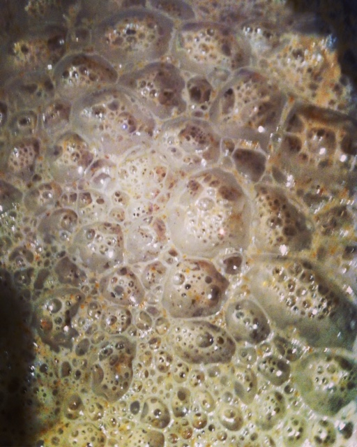 And then... We started with this and with considerable help from Farmers, Millers and nature we shall continue to create, nurture and build with and for human beings and nature. We’re taking a sabbatical. We will be back. A HUGE thank you to all our customers old and new. Avante