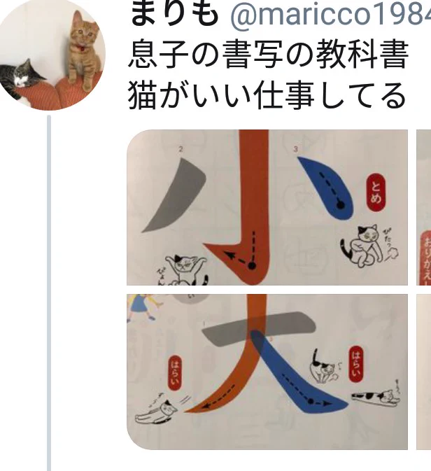 @maricco198419 だいぶ尖った教科書ですね 