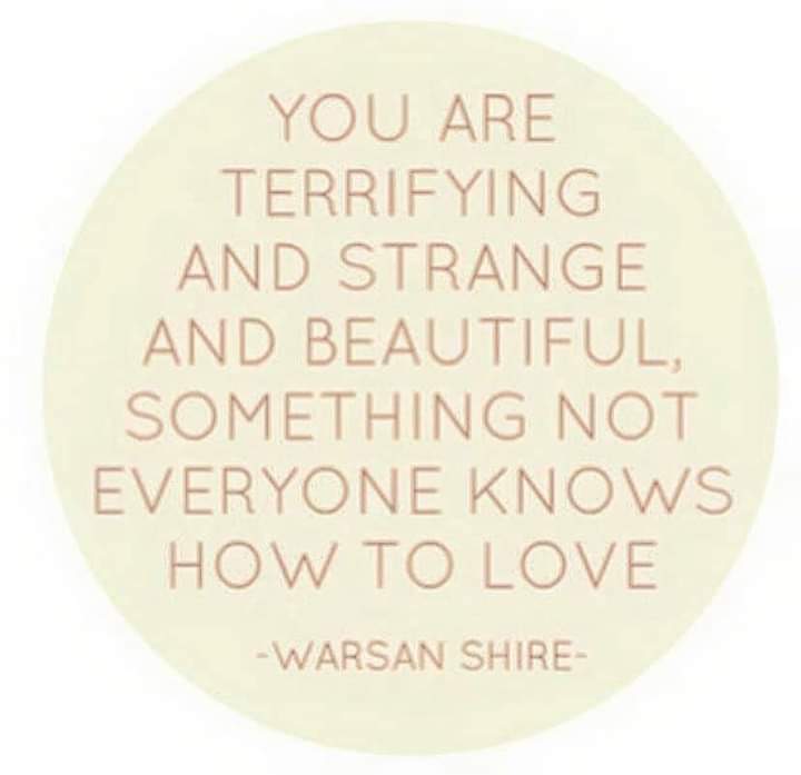 aledapikk's tweet image. 