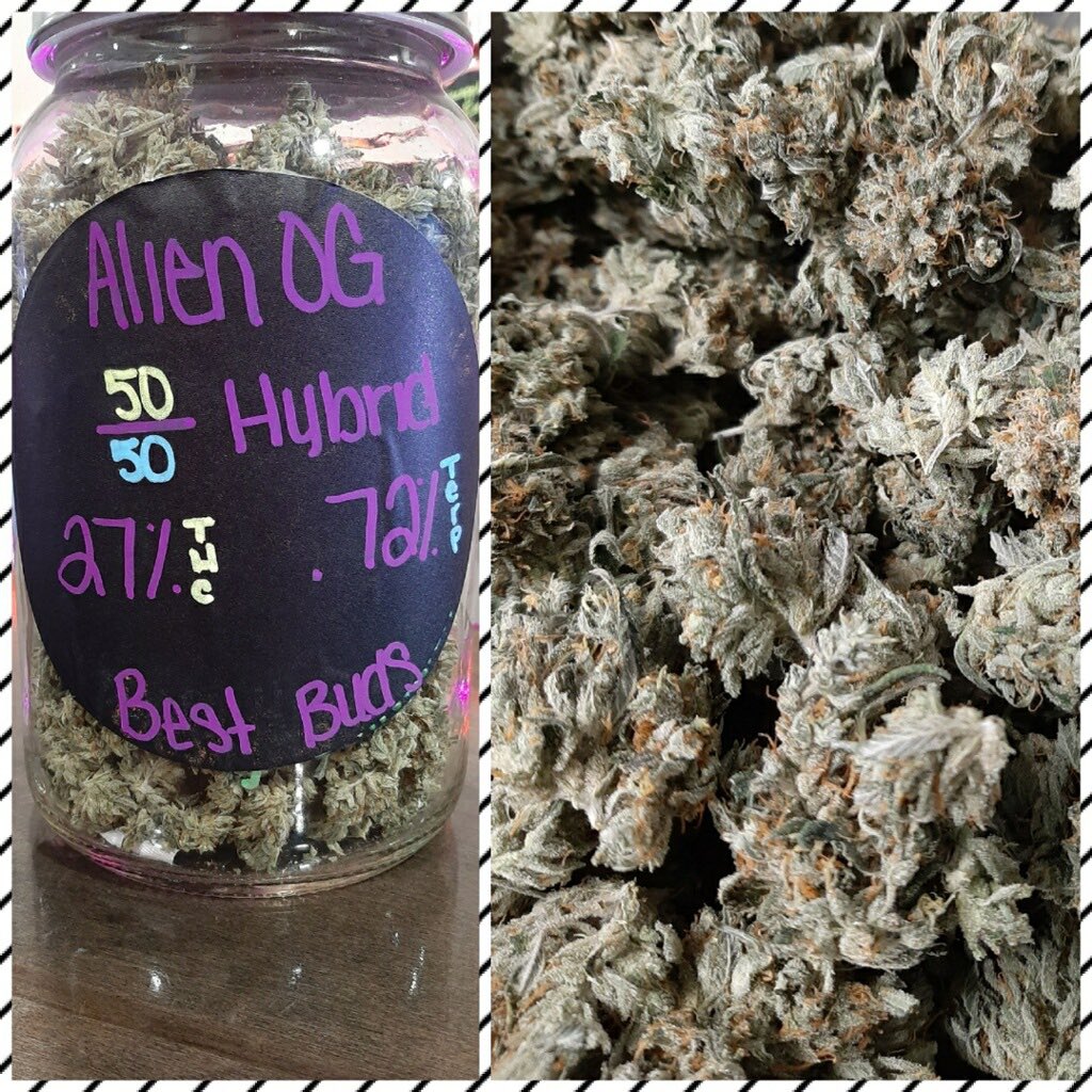 RustikThe's tweet image. Stop in @RustikThe check out the new flower drops in the house! Super delicious!