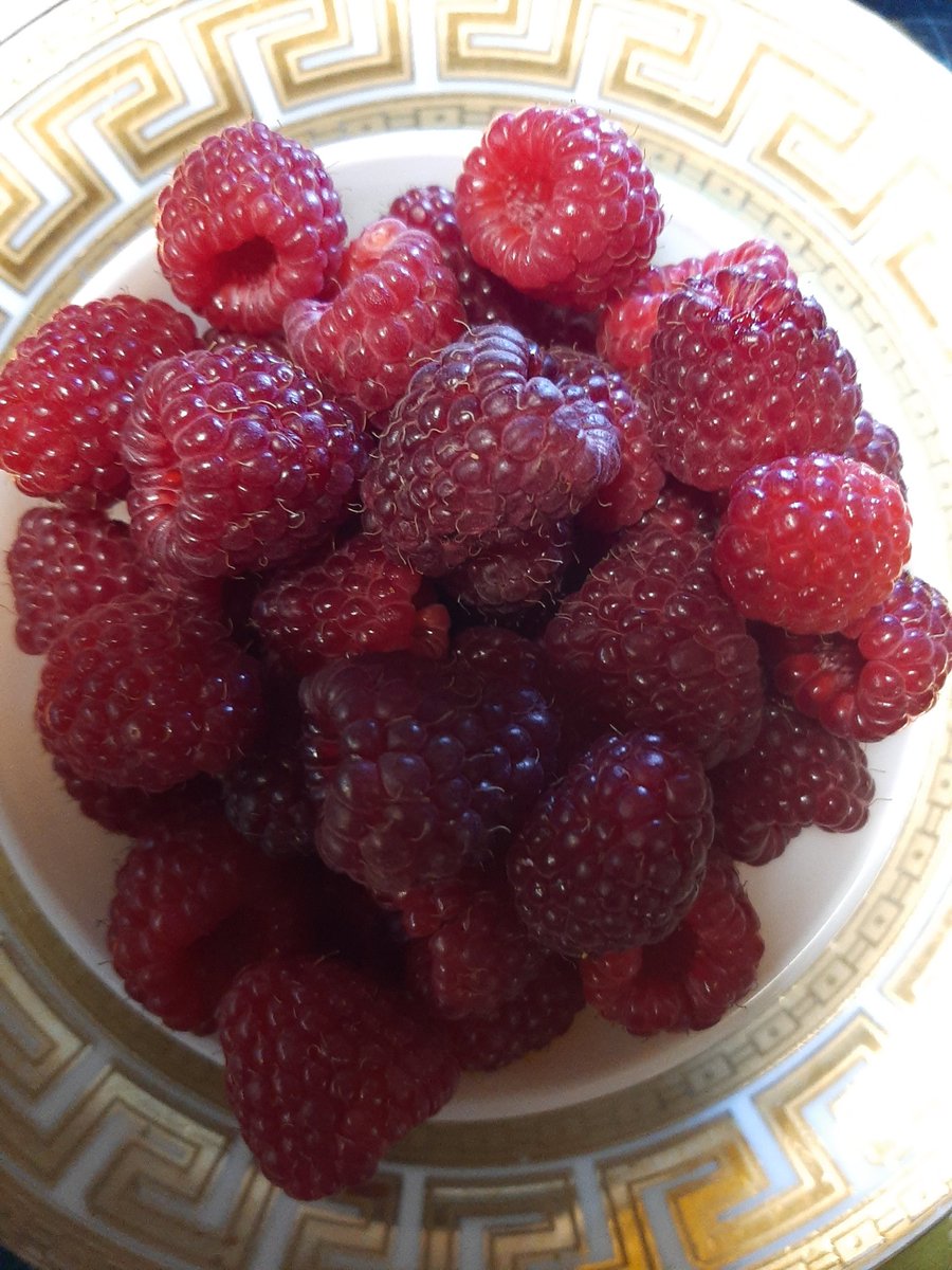 orientru's tweet image. Воспоминание об ушедшей лете. Урожай 2 сентября...