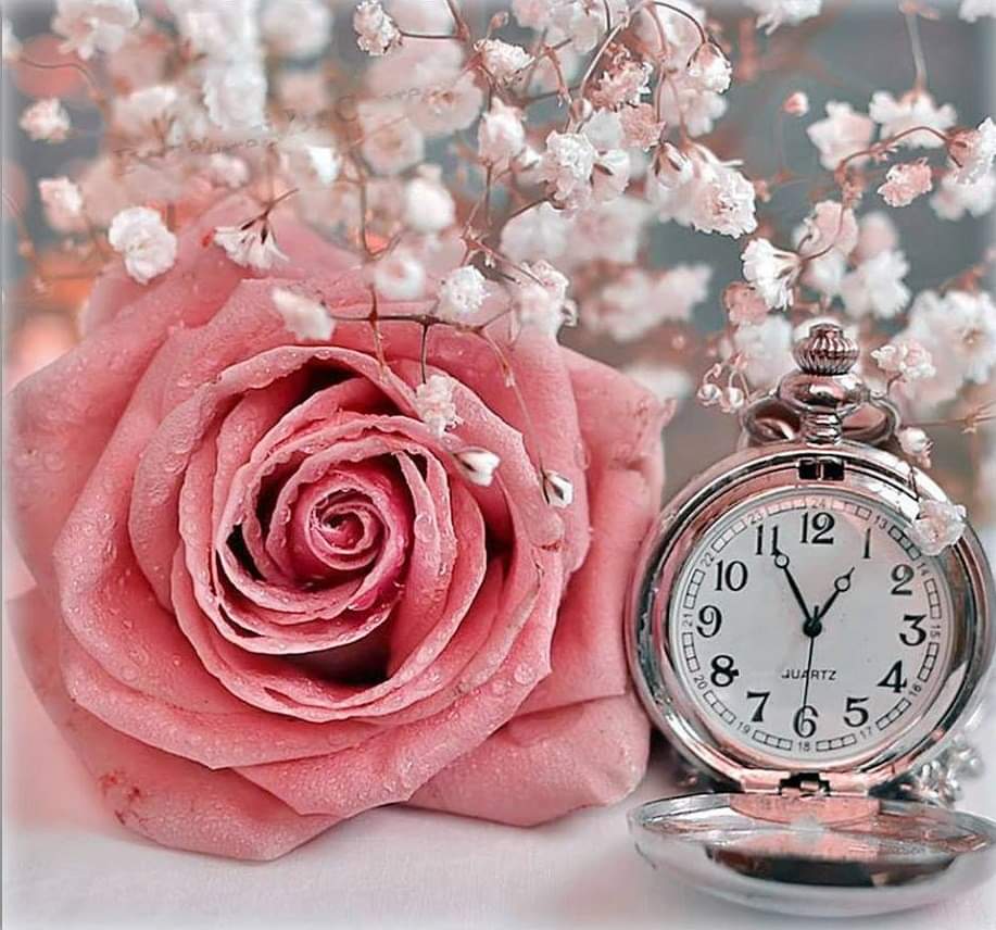 "Te amo" - dijo el principito... -"Yo también te quiero" - dijo la rosa. -"No es lo mismo" - respondió él... ..."Amar es la confianza plena de que pase lo que pase vas a estar, no porque me debas nada, no con posesión egoísta, sino estar, en silenciosa compañía.