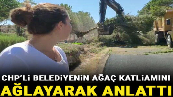 Bir ağaç yüzünden ülkemizin her tarafını şiddet ve yangın yerine çeviren #BayKemalveDostları #DirenGezi ciler İzmir'in Karaburun ilçesinde CHP'li belediye ekiplerinin yol çalışması kapsamında ağaçları kesmesine suspus kesildi. Sadece ilçe halkı tepki gösterdi.