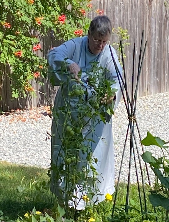 monknunanglican's tweet image. Sr. Christine has used this time we've all been social distancing to work in the garden in Dorchester while Sr. Claire Marie (with the bowl) works in the garden in Duxbury. #conventlife