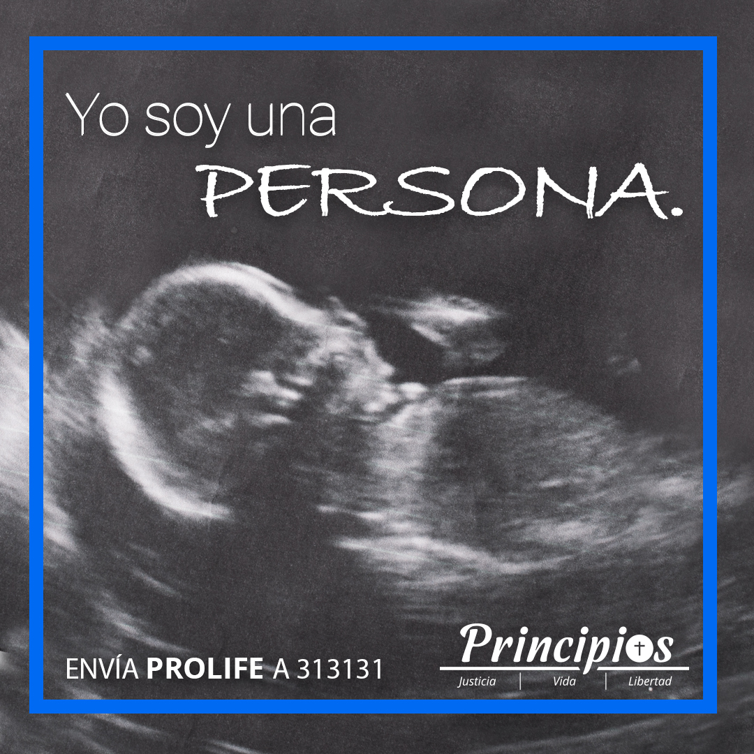 PrincipiosPAC's tweet photo. https://t.co/Rvg2ZiKMBg