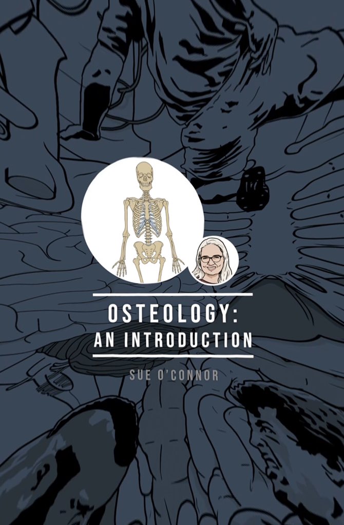 Jordan Tsigarides tweet media