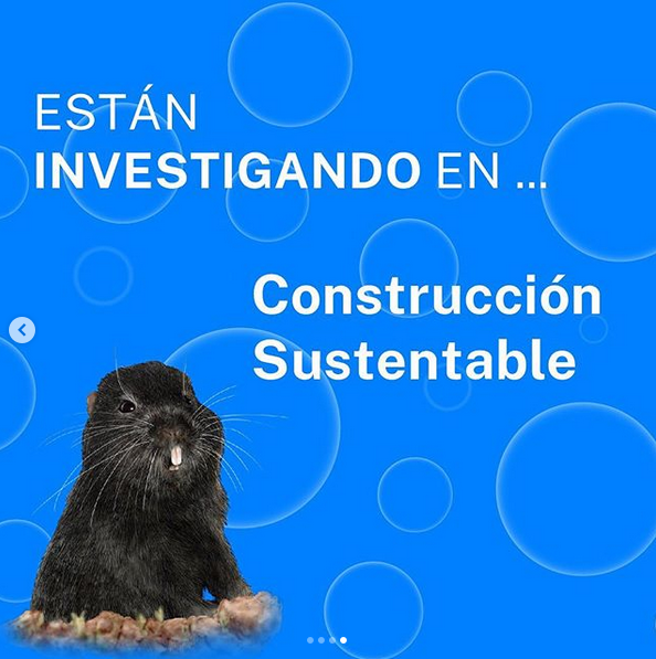exploravalpo's tweet photo. ¡Las ideas 💡 no cesan! L@s estudiantes de la #AcademiaExplora del Liceo Pedro de Valdivia de #LaCalera siguen trabajando en proyecto de construcción sustentable, aquí recibiendo asesoría científica de @evasotoa de #UPLA y Mario Sepúlveda de @usantamaria https://t.co/EEZcf1U9DP https://t.co/58mGZwHEdw