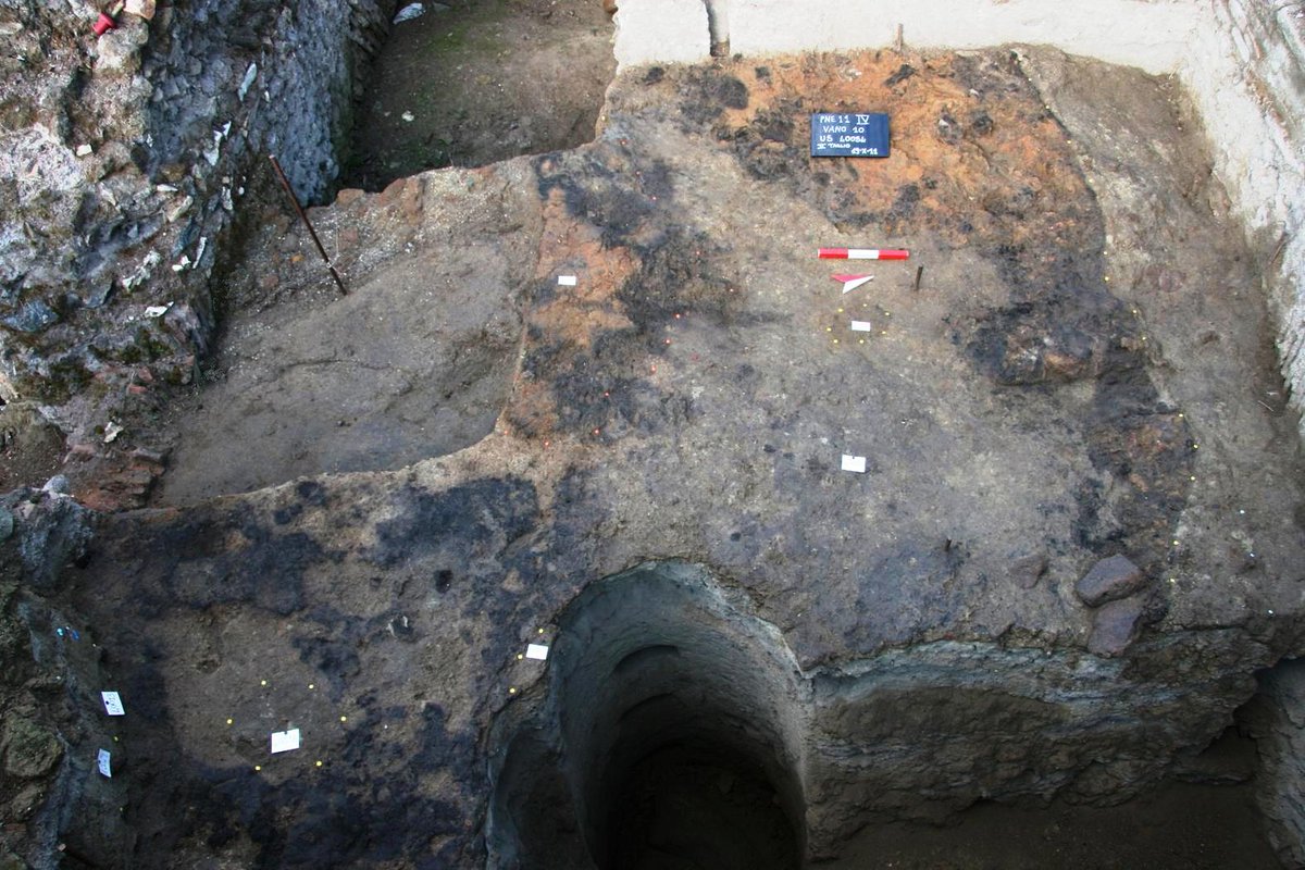 On the other side of the Palatine, there have now been EIA huts found below the area of the Sanctuary of the Curiae Veteres, new and exciting stuff skillfully excavated by C. Panella's équipe...