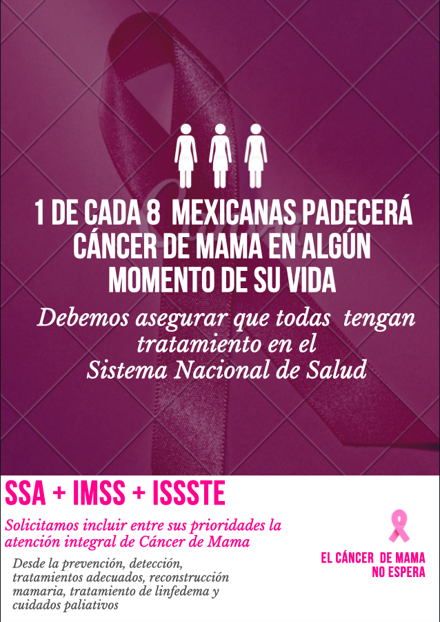 comesama's tweet photo. El #cancerdemama debe ser una prioridad para el gobierno. Debe estar reflejado en los programas institucionales del @Tu_IMSS @ISSSTE_mx  la reconstrucción mamaria debe ser parte del tratamiento. @olgapsosa @PESDIputados @Miroslava_SG @DraMedelPalma
@ectorjaime @KarlaBerdichev1 https://t.co/Kiq6ouoEif