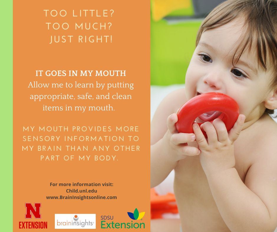 Nebraska and South Dakota Extension’s Learning Child Team supports adults who play a role in young children’s lives providing information about early child development.  To learn more visit child.unl.edu and BrainInsightsonline.com

#justrighttlc    <a href="/UNLExtensionTLC/">The Learning Child</a>