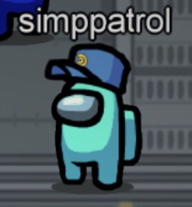 simppatrol has joined the server.
