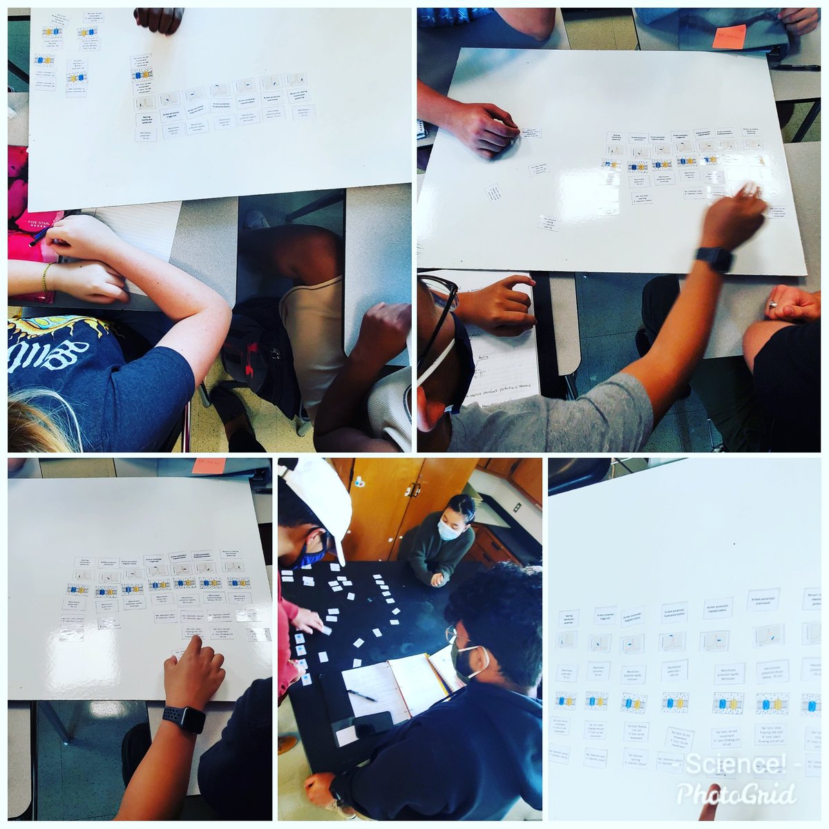 teach_me24's tweet image. Awesome day today! We braved some small group work. Seniors worked on membrane potential sort cards, and my freshman classes tried to figure out how to survive through the winter in the dust bowl with limited resources 😁. #tkbio #tkscience #hhsib #terrierwatch