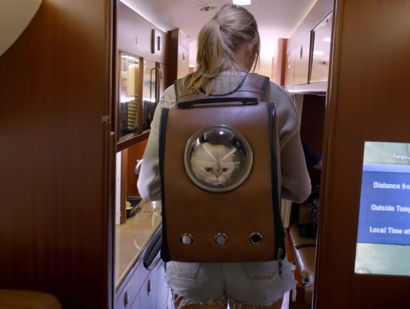 Taylor Swift albums as backpacks- A thread 