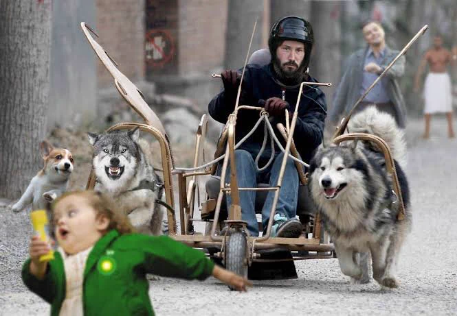 @YomogiMovie これも塗り絵に(´･ω･)（駄 