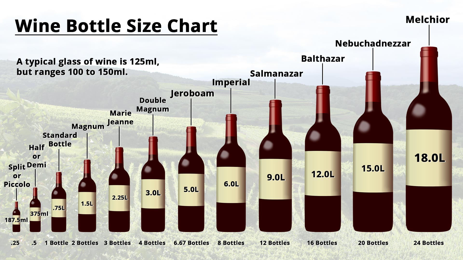 wine-bottle-sizes-different-types-by-name-amount-of-glasses