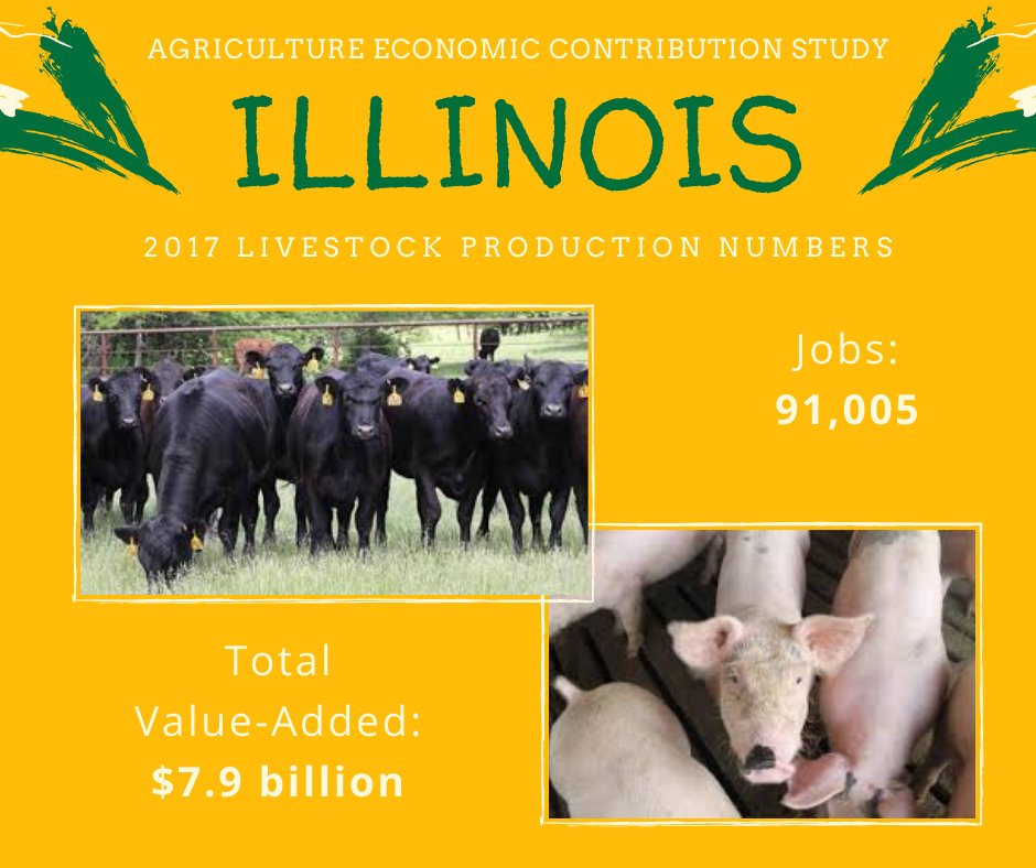 This week's Illinois Agriculture Economic Contribution Study focus: Livestock Production!

#DISInsights #agriculture #economicimpact #livestock

decision-innovation.com/economic-impac…