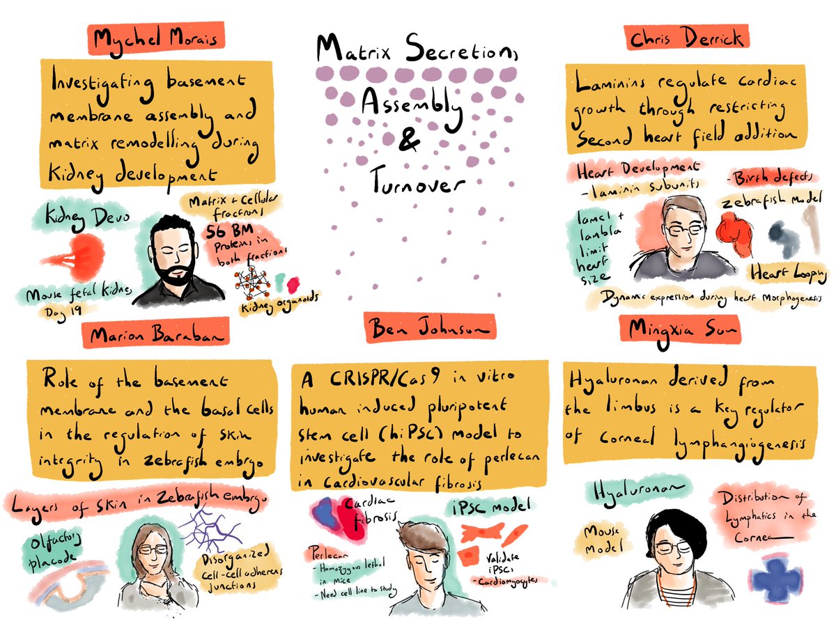 Flash talks on matrix secretion, assembly and turnover at #BSMB2020 #scicomm