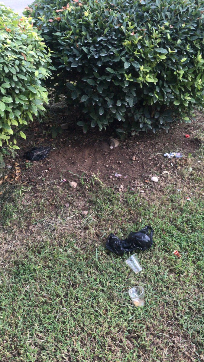 Güzelim parklarda çöp kaynıyor, çöp kovası olmasına rağmen. Ne zaman cezai işlem yapılacak bu magandalara <a href="/MuratpasaBld/">Antalya Muratpaşa Belediyesi</a> <a href="/ANTALYABB/">ANTALYA BÜYÜKŞEHİR</a> <a href="/Av_umituysal/">ÜMİT UYSAL</a>