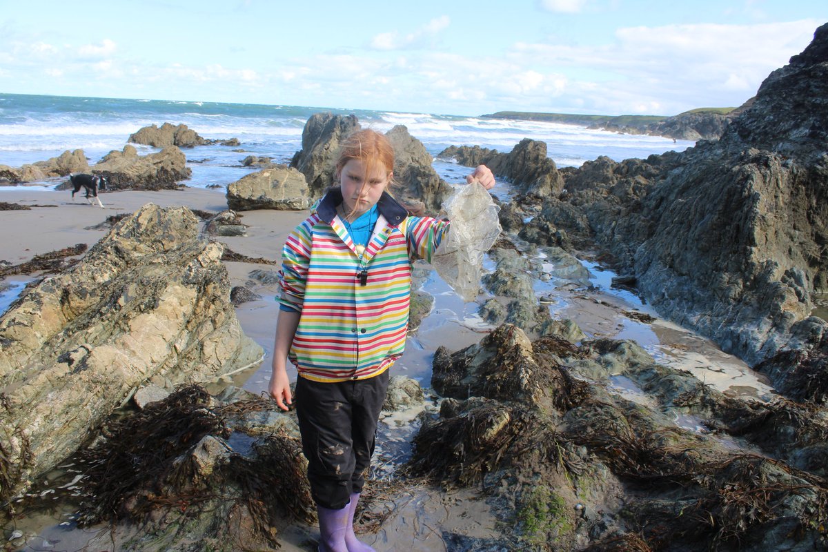 Jen Heard tweet media