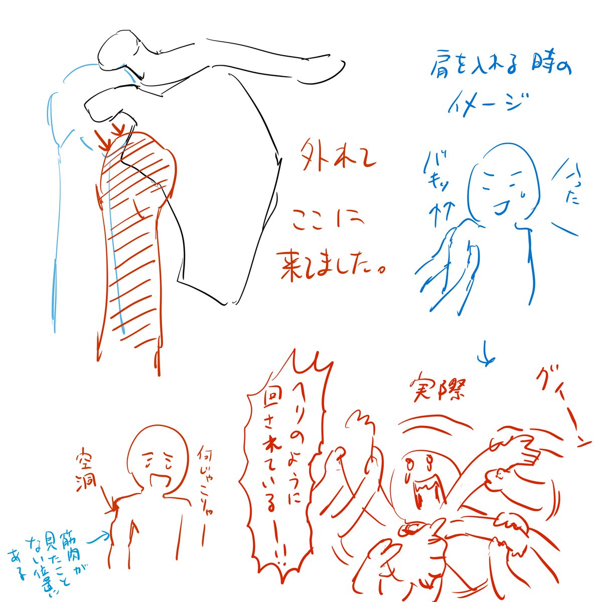 今回の 肩入れるときはあまりの激痛に思わずakiraの金田の 俺の腕はそっ 葉野宗介 の漫画 今回の 肩入れるときはあまりの激痛に思わずakiraの金田の 俺の腕はそっ 葉野宗介 の漫画
