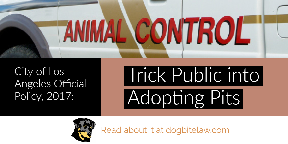DogBiteLaw's tweet photo. PIT VERSUS PIT - A #pitbull owner complains about animal control after one of her pitbulls kills her other pitbull. Was she unaware these dogs were meticulously bred for hundreds of years to kill each other? Is her killer pit entirely to blame? #donotadopt #BSL #dogbitelaw https://t.co/C7kJYNnMrR