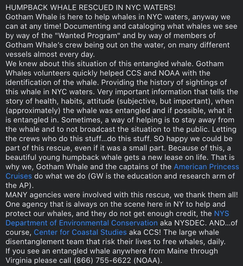 gothamwhale tweet picture