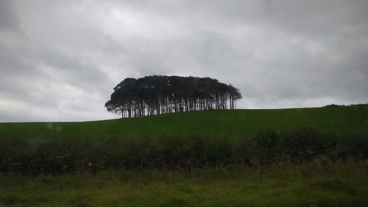 As we approached the Coming Home trees, Trelawny belted out on our song list. A patriotic moment! #Cornwall #nearlyhome #trees