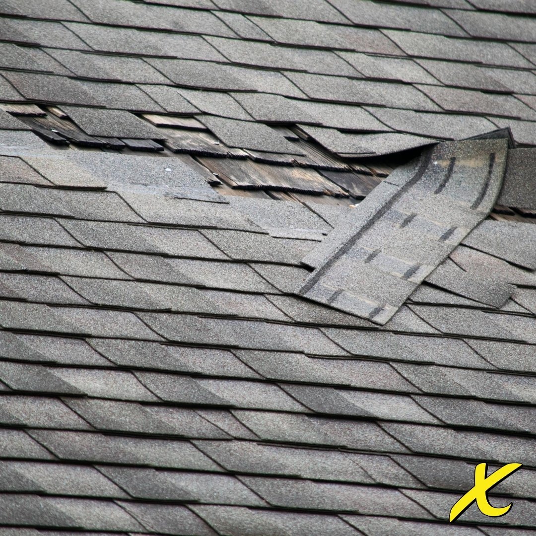 Do you know when is the right time to replace your roof? Read this week's blog and see what homeowners should look out for! 

bit.ly/34SKAqu

#SiouxCity #RoofRepair