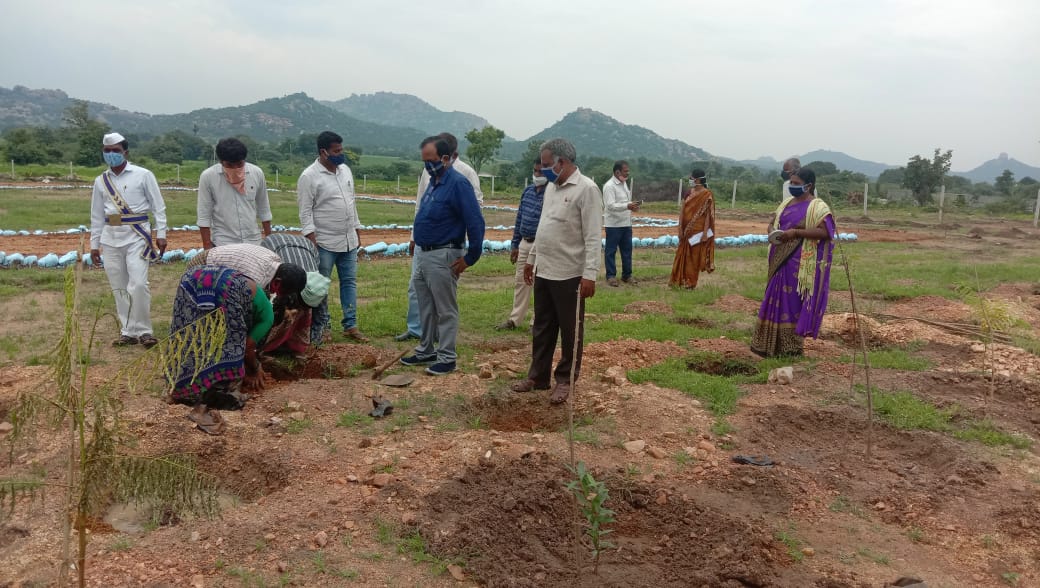 Ppv work is  good at manajipeta gram panchayat