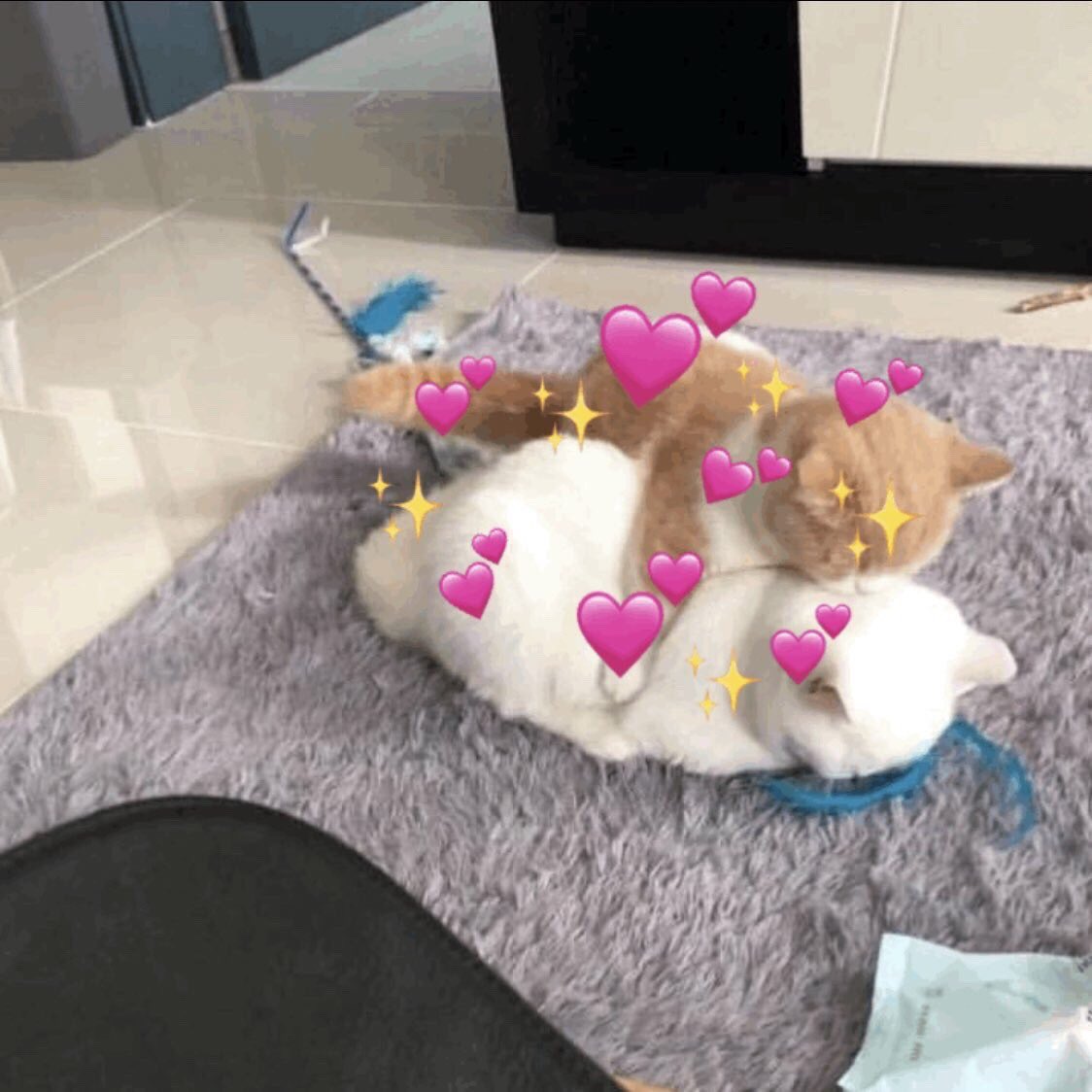 paixão (@winterdotkr) on Twitter photo 