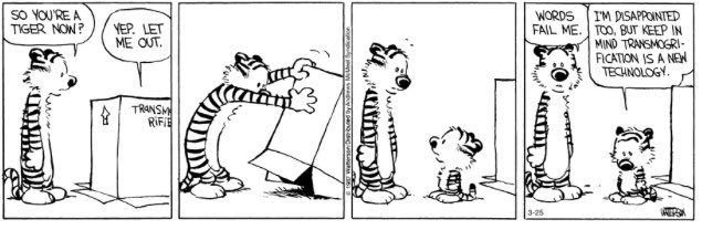 it is good that bill watterson stuck to his guns and didnt merchandise calvin and hobbes. im glad he was able to stand by his principles. but I DO want a plush of tiger calvin and I AM frustrated he wont sell it to me 