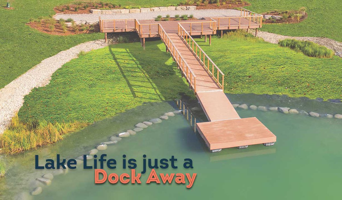 Live in Harmony tweet media