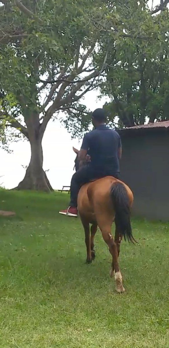 #EverydayEthiopia #DigitalAmbassador 
@GetachewSS @DrAdnanA1 🙋‍♂️#HorseRiding #Outdoor #Memories