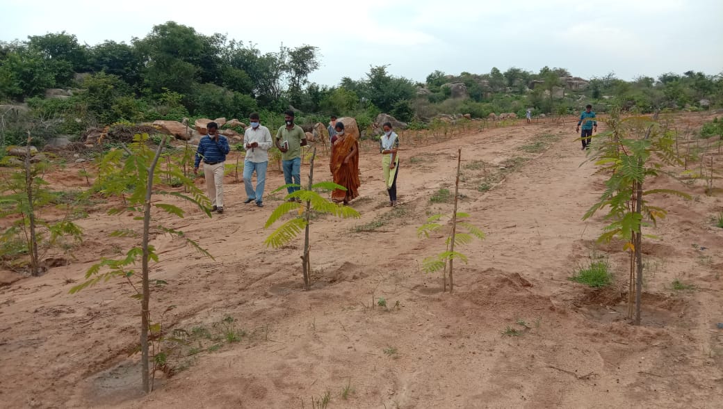 Small thanda named donthikunta thanda made a wonderful palle prakruthi vanam.they are inspiration to others.