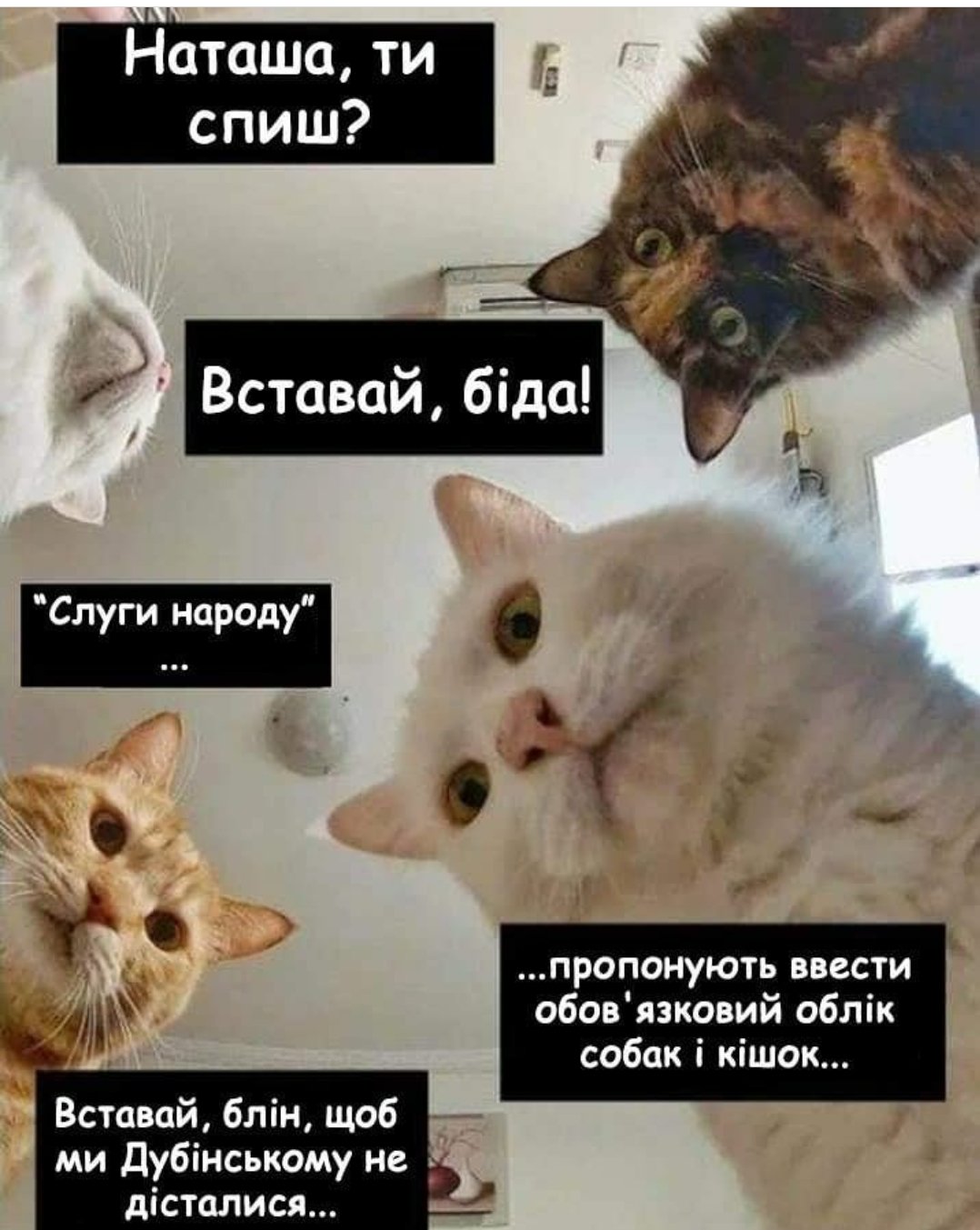 Рада приняла в первом чтении законопроект о создании Бюро экономической безопасности - Цензор.НЕТ 9633