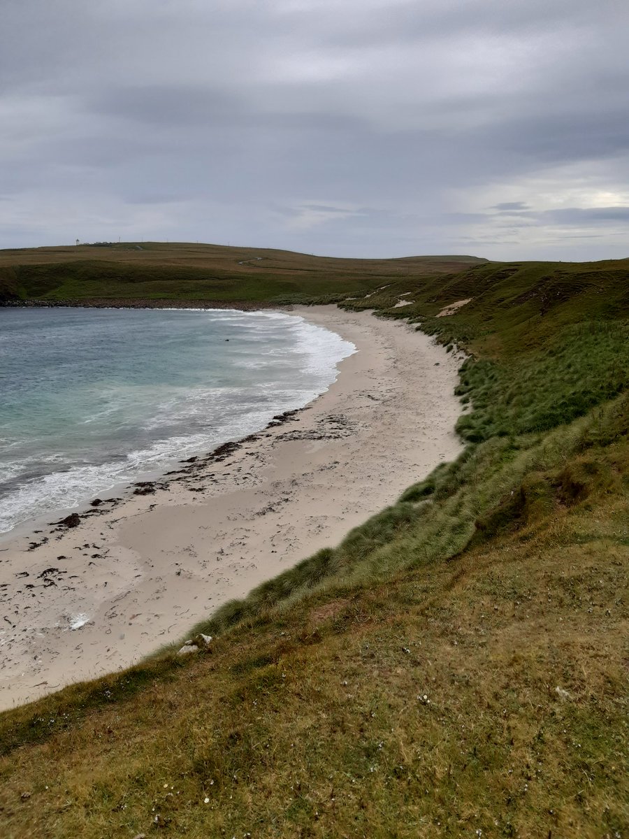 Sage_Adventures's tweet photo. Up in the far north past #Johnogroats. At the bay of #Sannick we spotted a bob of #seals. I have never been so excited on a #UK #beach!
#NC500 #Scotland 🏴 https://t.co/8M1R5vRrvT
