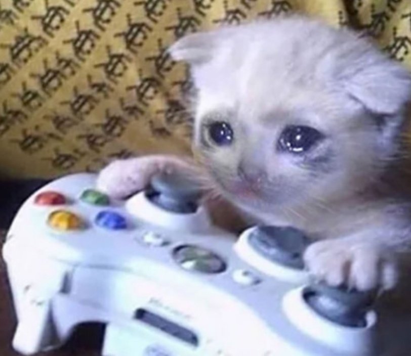 PrajwalRekhate's tweet photo. #pubg player trying to play freefire / COD - https://t.co/UI5D37RdTx