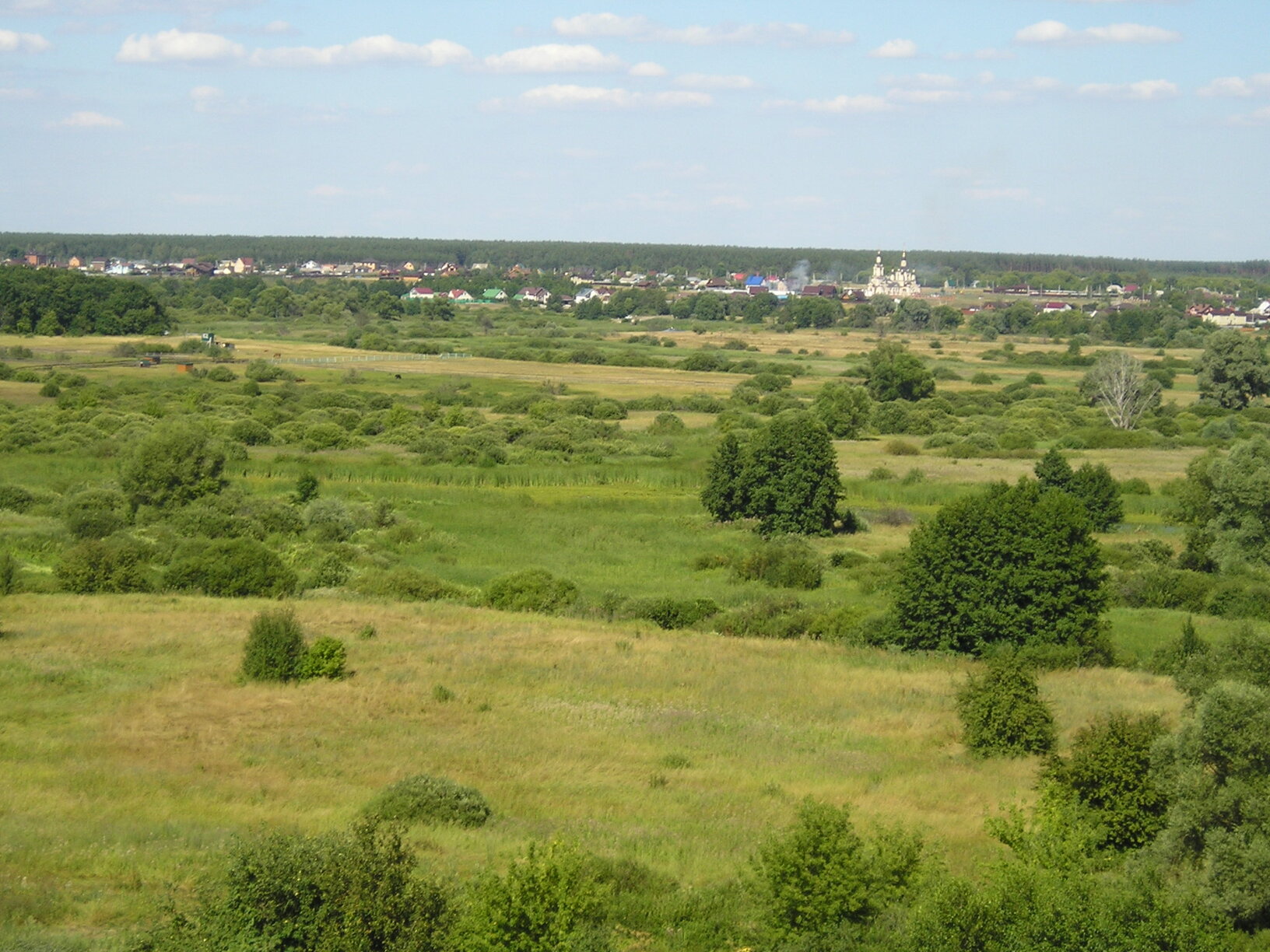 Деревня Нелжа Воронежская область панорама